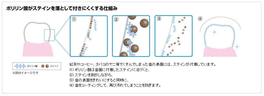 Tv摜